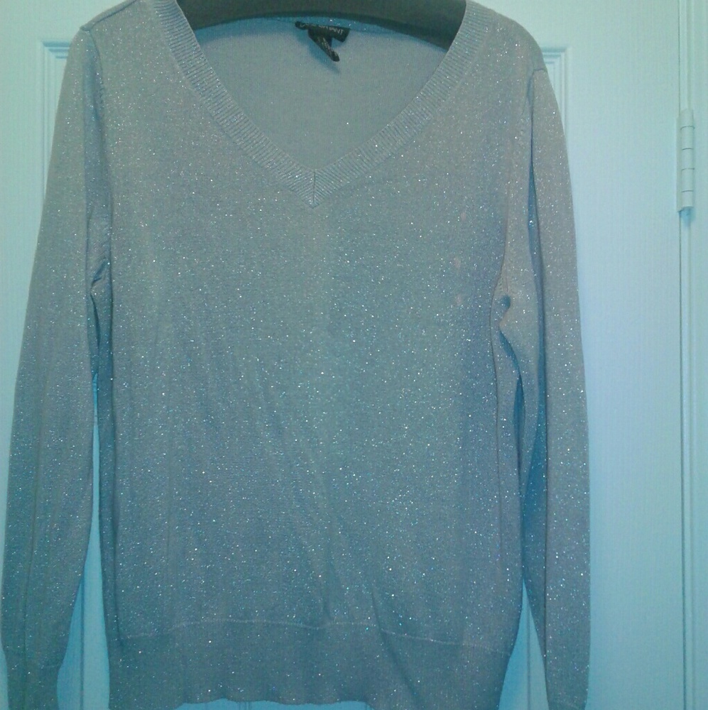 Ladies v-neck sweater